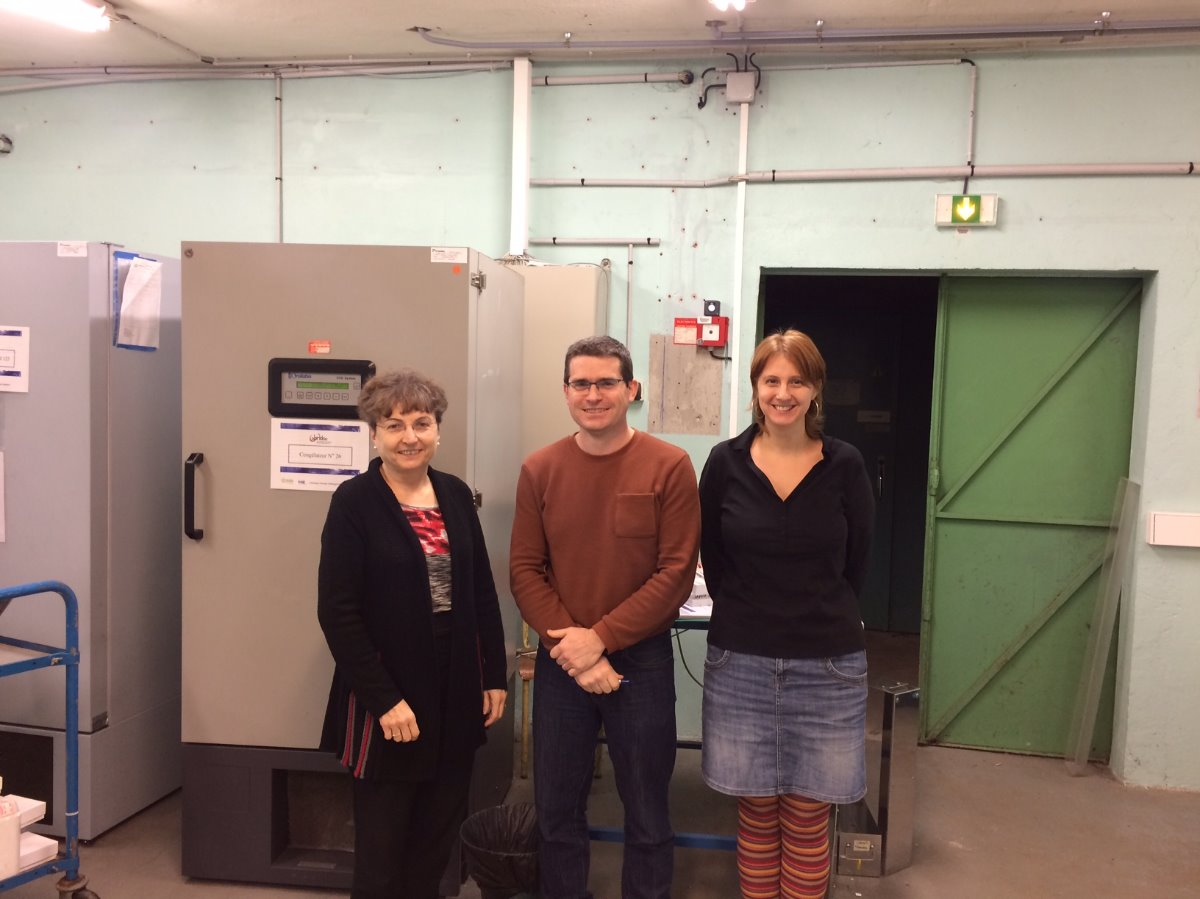 "Michèle Tixier-Boichard, assisted by her colleagues Jérôme Lecardonnel and Déborah Jardet at the INRA biological resources centre"