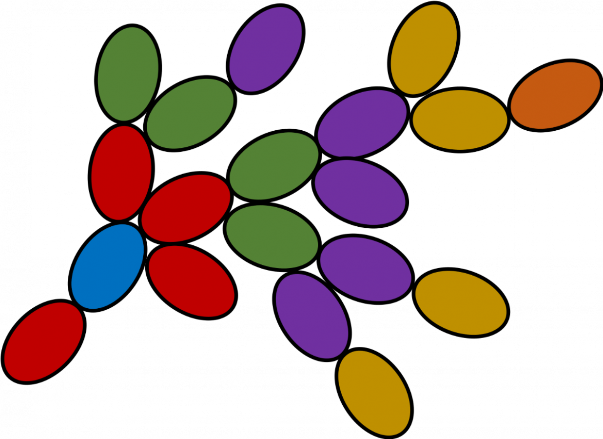 Snowflake_yeast_diagram