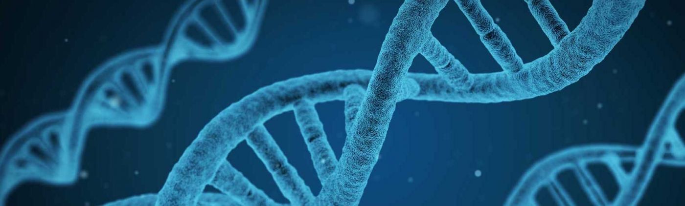 DNA strands