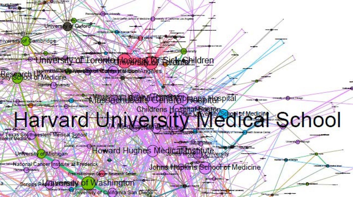 a network map