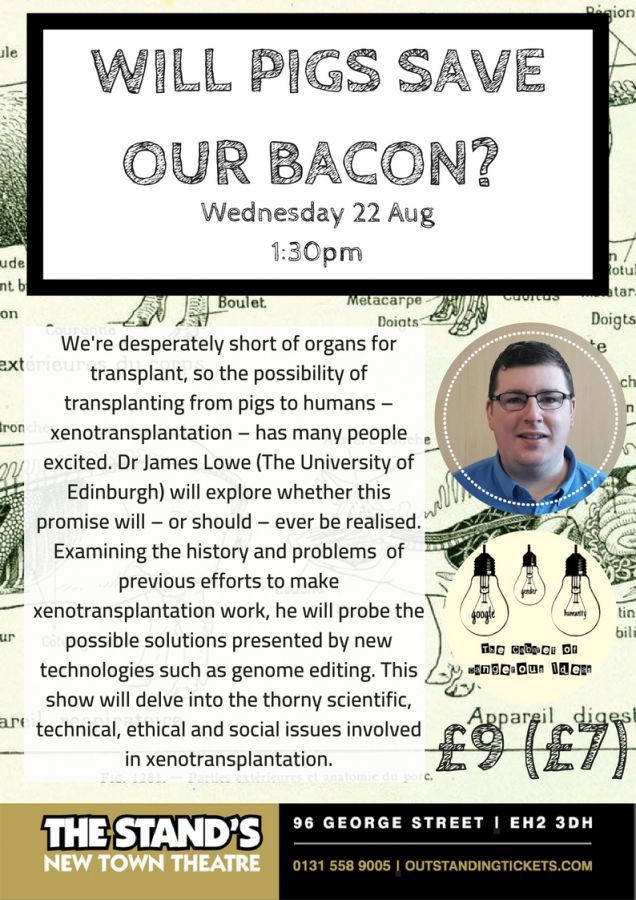 The show: Will Pigs Save Our Bacon? poster