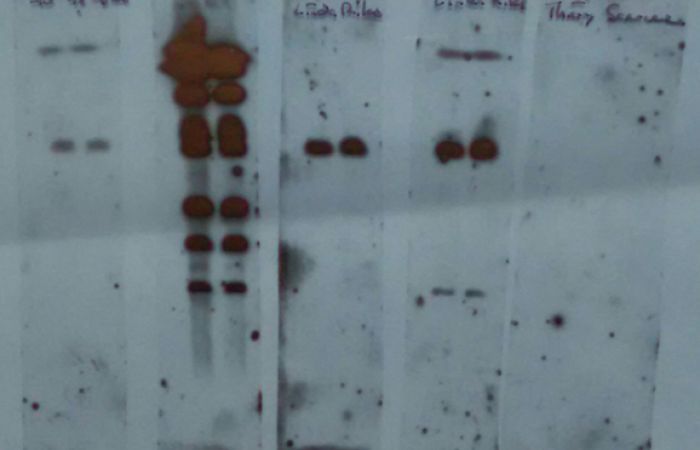 Sequencing the chromosome ends in yeast