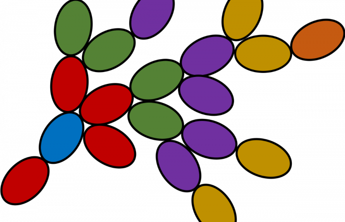 Snowflake_yeast_diagram